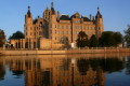 der BUGA-Newsletter 11/08 (1,1 MB)